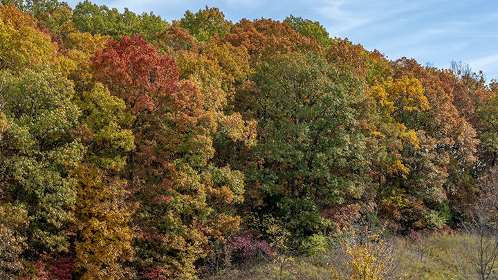 County offers lots of opportunities  to enjoy fall foliage